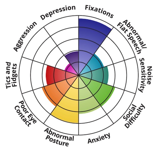 Autistic Radar Graph
